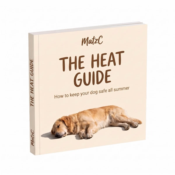 Free Gift: The Heat Guide